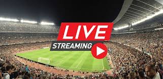 live stream